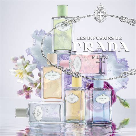 prada damen parfum iris 30 ml|Prada iris perfume price.